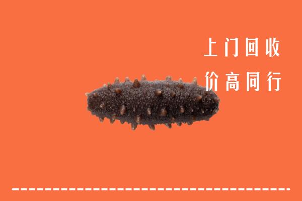 红河县回收海参