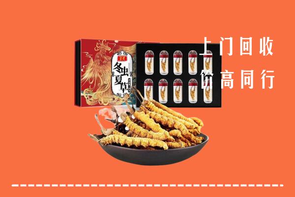 红河县回收虫草